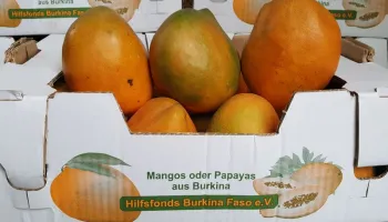 Mangos aus Burkina Faso