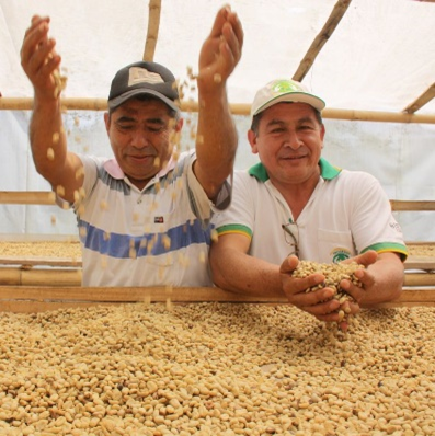 Bauern im Kaffee
